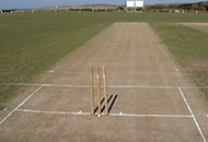 Cricket Pitch